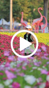 BIB:  <button type="button" onclick="openModal(27583005)" class="btn btn-primary btn-sm float-right" data-toggle="modal" data-target=".modal-high-quality">
                <i class="fa fa-download"></i> Download
                </button>